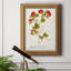 Toile encadrée de qualité supérieure Botanicals-1205242410