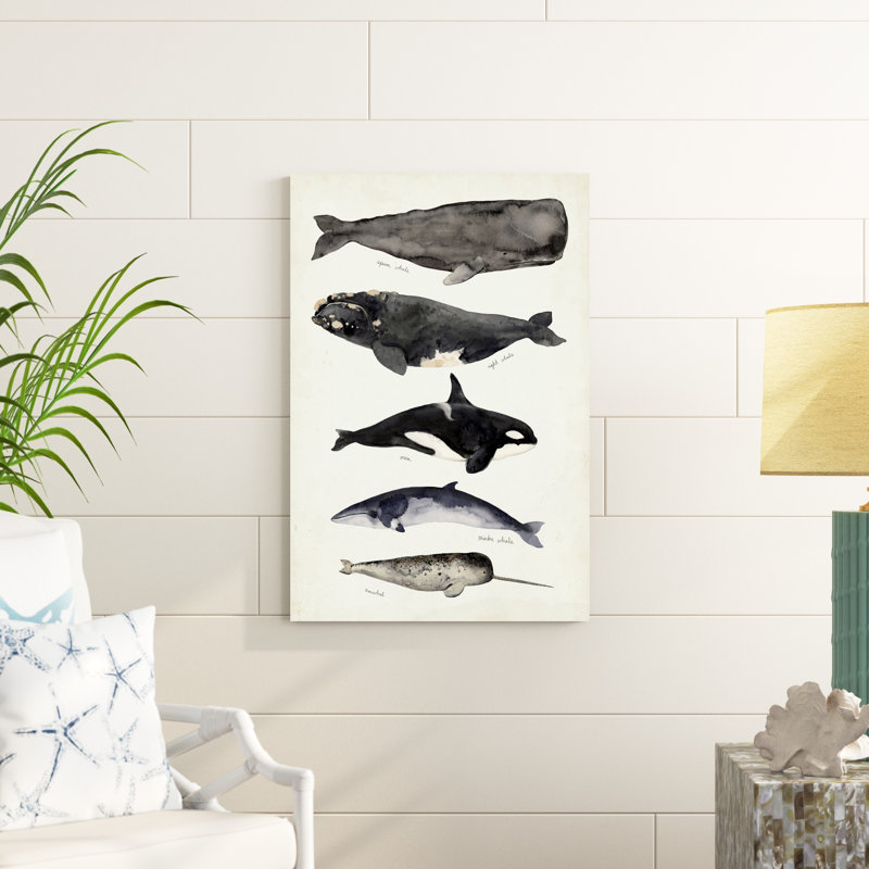 Carte des baleines I, H 36 po x l 24 po