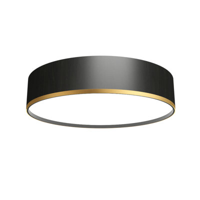 Ceiling Accord Cylindrical