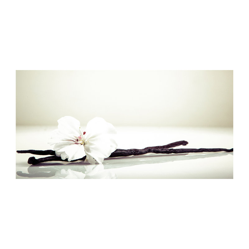 Vanilla Stick - Wrapped Canvas Print