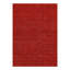 Area Rug in Red