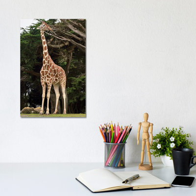 Giraffe I by Nikita Abakumov - Wrapped Canvas Gallery-Wrapped Canvas Giclée