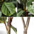 Faux Plants Artificial Tree 61'' Tall Fiddle Leaf Fig Tree in Black Pot Indoor for Home Office Décor