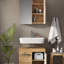 Hyattsville Bathroom Cabinet