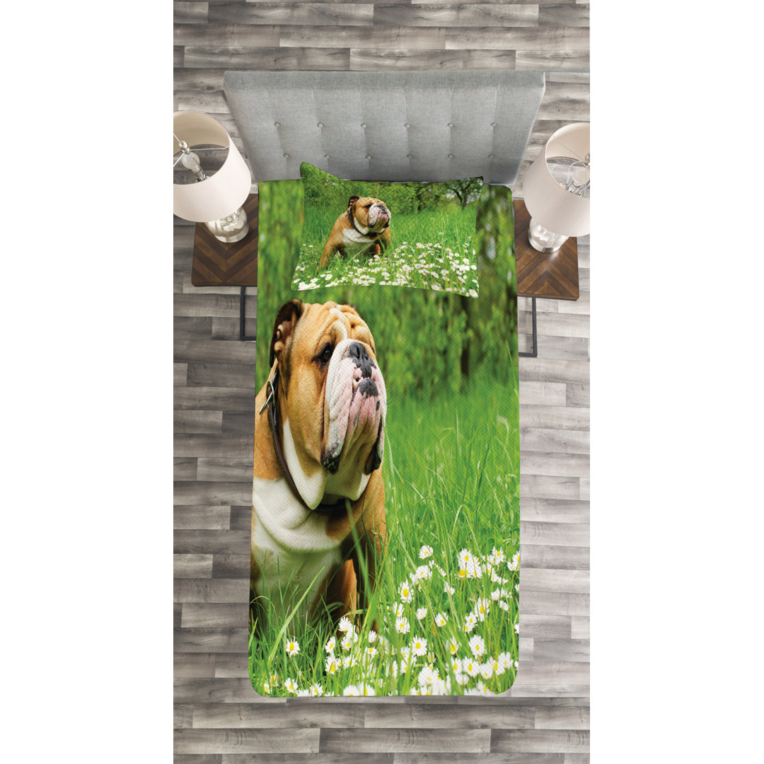 Gestepptes Bettdecken-Set, Blossom Gänseblümchen, Englische Bulldogge, Grün braun Braun Weiß