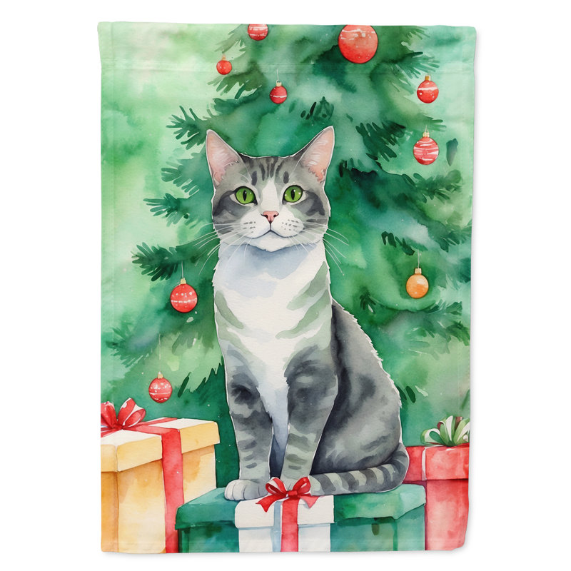 Drapeau de jardin Pixie Bob, Ural Rex gris