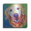 «Golden - Daisy Mae» par Dawg Painter-1597946558