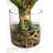 Amaryllis Arrangement in Vase