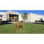 Fauteuil Alfresco