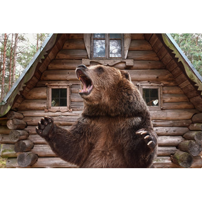 Grizzly brun - Photographie sur toile tendue