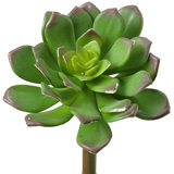 Faux Echeveria Stem