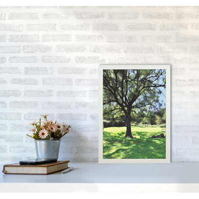 Tree - Print