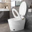 Toilette intelligente avec bidet et sécheuse, couvercle de siège automatique, système de jet siphonique, alimentation en eau chaude, modes de lavage multiples, technologie automatique à télécommande sans fil, eau instantanée, options, contrôle