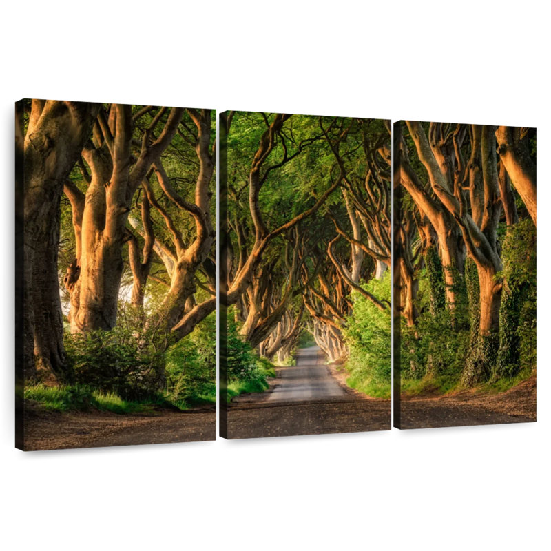 Sebbie, forêt de haies foncées, Ballymoney, H 42 po x l 65 po