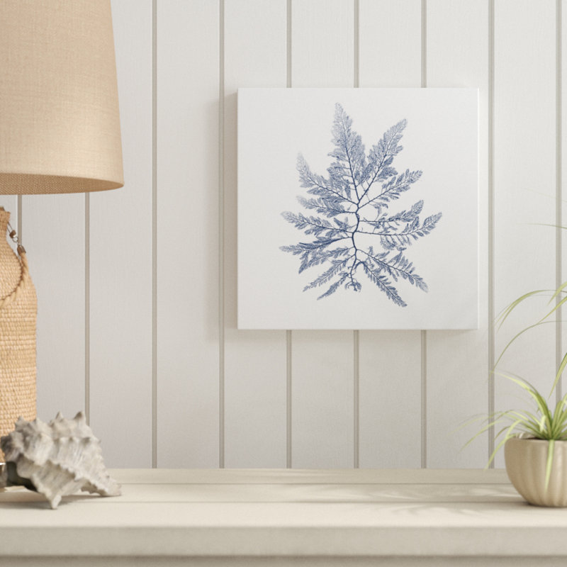 Navy Seaweed II by Vision Studio - Wrapped Canvas Painting, 30cm H x 30cm W
