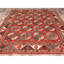 Caileon Hand Knotted Wool Rug