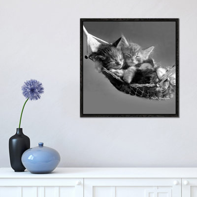 Kits In Hammock by Keith Kimberlin - Print on Canvas