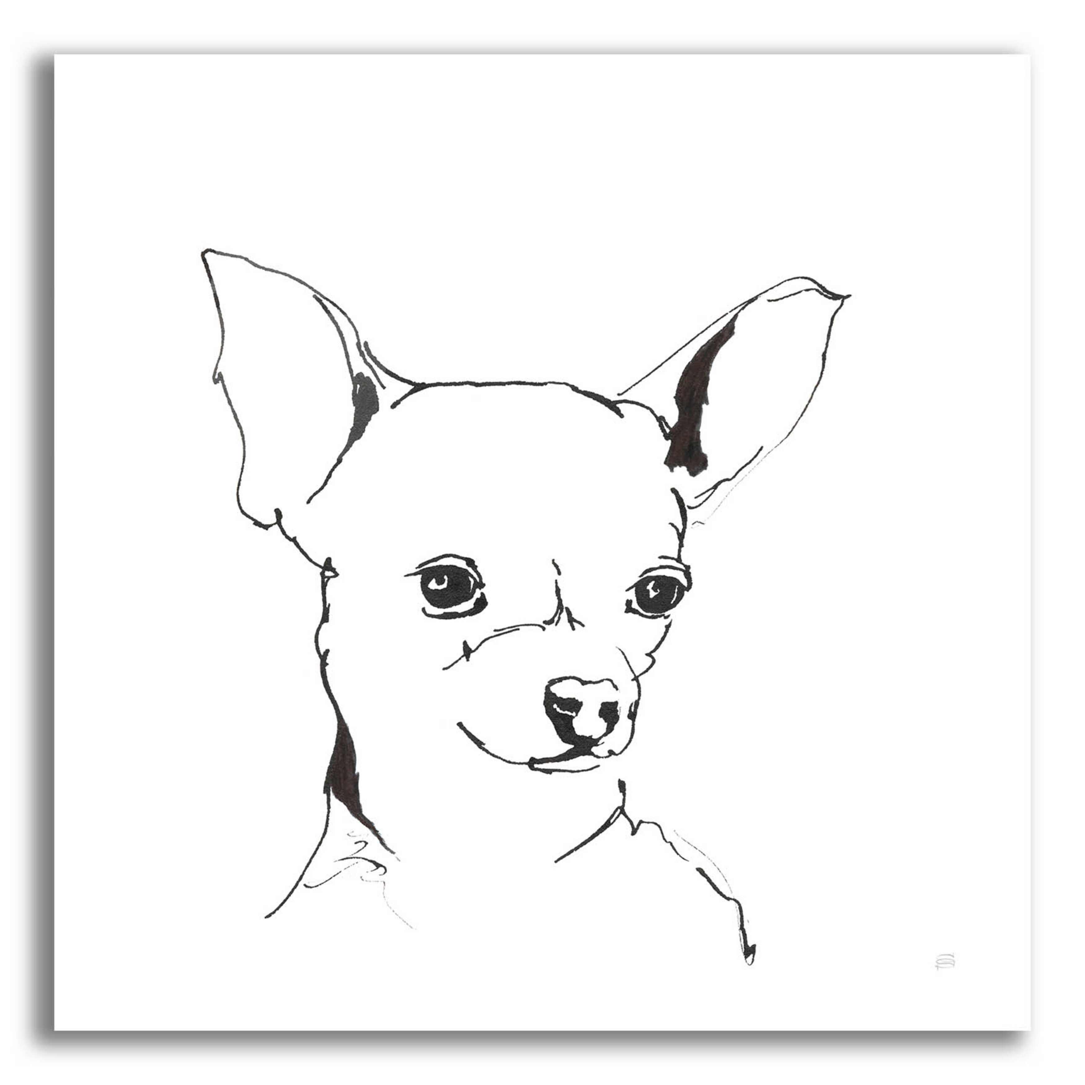 How to Draw Chihuahua Dog  Cute Chihuahua Drawing Easy Step by Step  Tutorial  YouTube