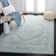 Olius Performance Oriental Rug