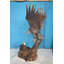 Eagle With Nest Bronze Statue -  Size: 36"L X 40"W X 63"H.