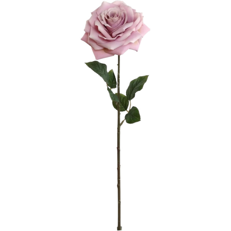 20" Open Rose Stem - 6 Pack