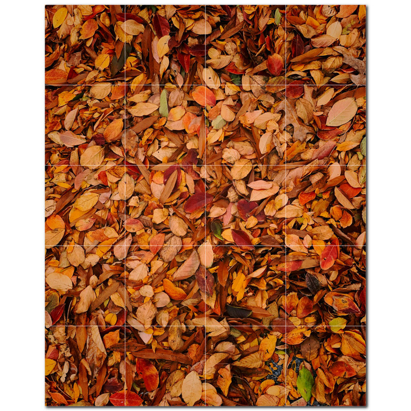Photo d'arbres 12 x 12