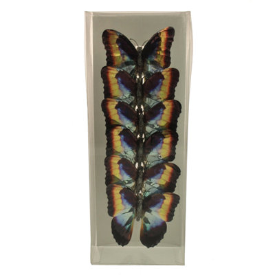 10cm Animals Ornament Accessory