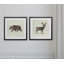 « forestières bear », ensemble de 2 reproductions d’impressions encadrées-27610142