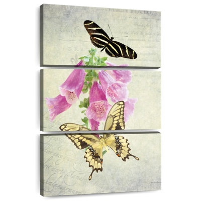 Papillon Brampt botanique II