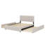 Queen Size  Platform Bed Offering Two Under-Bed Storage Compartments And An Extra Trundle-115735477