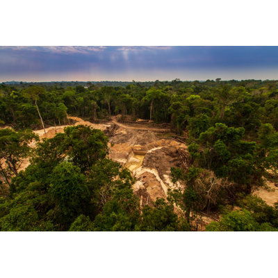 Amazon Rainforest by Marcio Isensee E Sa - Wrapped Canvas Print