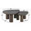 Zion Solid Wood Nesting Coffee Table-2014503654