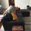 Customer photo 2 of 2