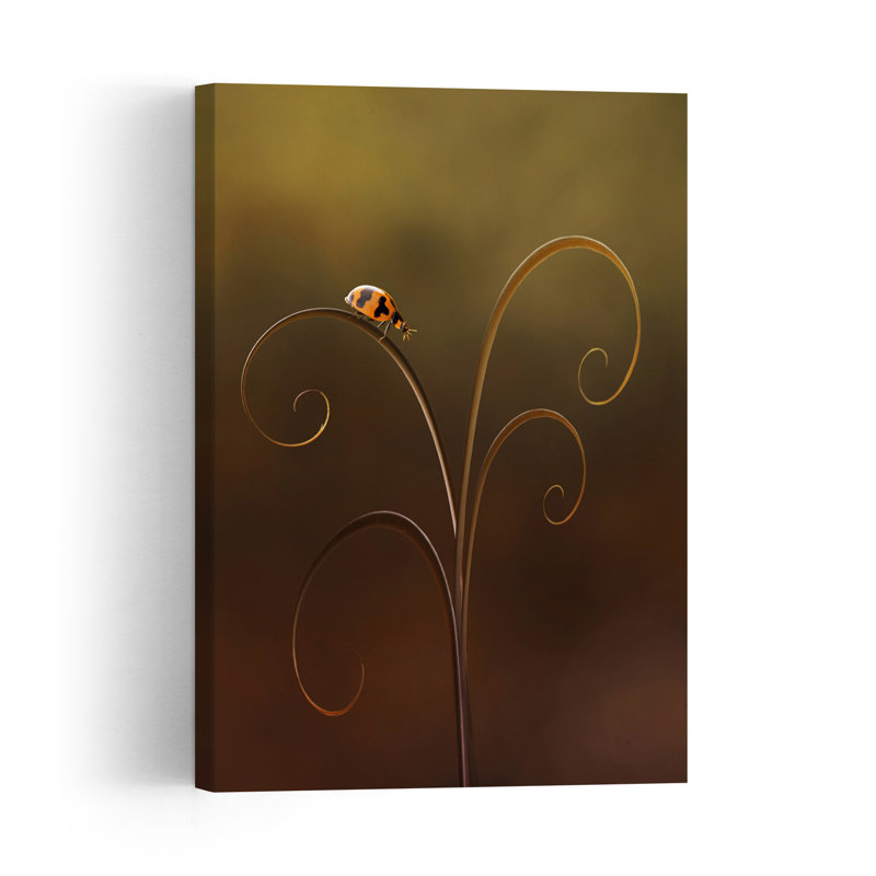 Ladybug On Spiral Tendril Delicate Elegant Organic Ladybug Nature Plant Wall Art Print by Edy Pamungkas - Print