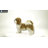 Standing Shih Tzu