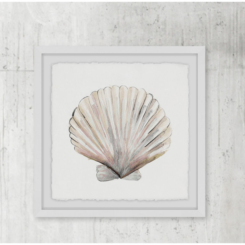 Aditi Classic Shell, reproduction encadrée, H 12 po x l 12 po x P 1,5 po