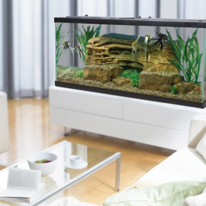 Aquarium complet à DEL de 55 gallons, comprenant éclairage à DEL, filtration, chauffage et accessoires