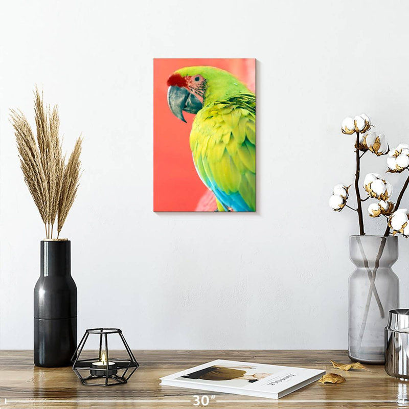 Brampt Green Macaw, 12" H x 8" W