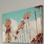 1 Piece Wrapped Canvas Wall Art-1029767014
