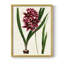 Reproduction encadrée de floral antique V - encadré en bois massif-1254446483