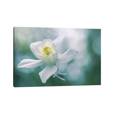 Purity 1 Piece Wrapped Canvas Wall Art