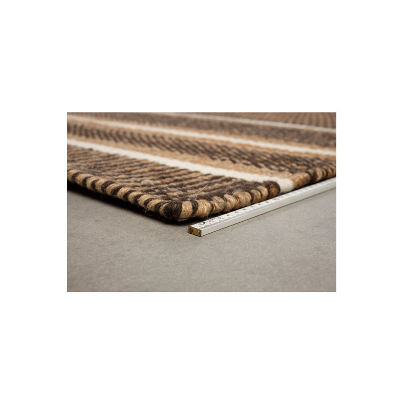 Djahe Striped Area Rug in Brown/White