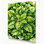 "Watercolor Botanical 60", art mural sur toile verte