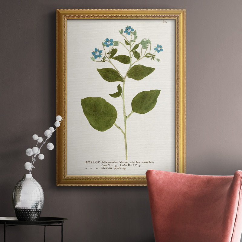 Nature imprimée Botanicals VI, toile encadrée de qualité supérieure - prête à être accrochée, H 20 po x l 16 po x P 1 po