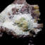 Carolinda Landscape & Nature Crystal