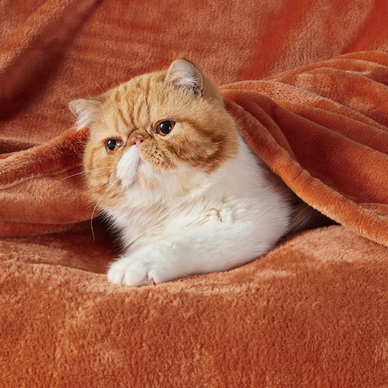 Blanket, Orange