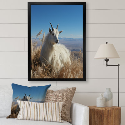 White Solitary Grazing Goat - Goat Animal Wall Art