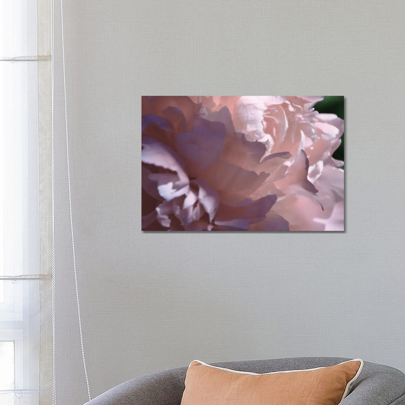 Velvet Peony I by Michelle Calkins - Wrapped Canvas Print