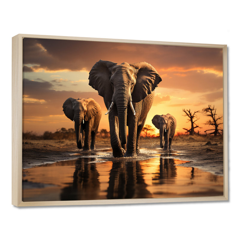 «Elephant Shadows Of Serenity II», art mural sur toile, H 30 po x l 40 po x P 1,5 po, Cadre flottant érable
