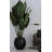 Ovelia Chrysanne 45'' Floor Lamp